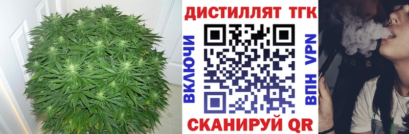 ТГК вейп  где найти наркотики  дарк нет клад  Грозный 