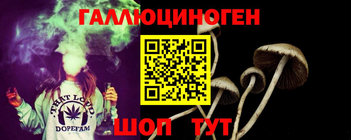 Псилоцибиновые грибы мицелий  Вход с VPN  Грозный 