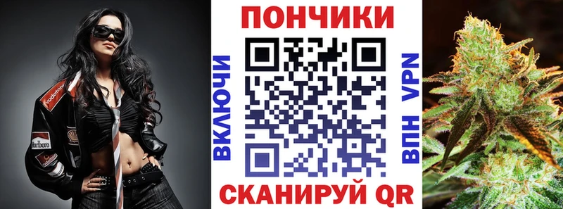 Каннабис ГИДРОПОН  MEGA ссылки  Грозный 