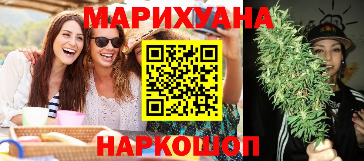 Каннабис индика Грозный
